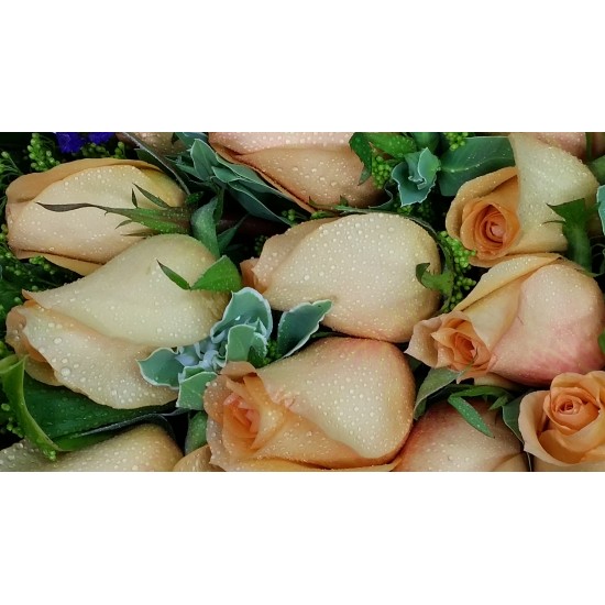 18pcs Orange Color Roses Bouquet Valentines Day